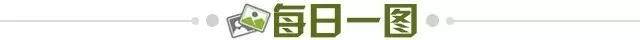28d8918b-0910-4ae5-aa60-723f7ef8bd32.jpg@!img01